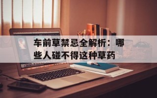 车前草禁忌全解析：哪些人碰不得这种草药