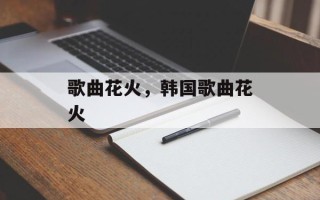 歌曲花火，韩国歌曲花火