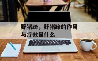 野猪蹄，野猪蹄的作用与疗效是什么
