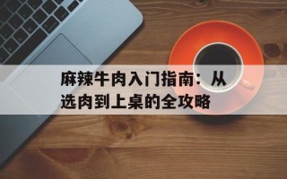 麻辣牛肉入门指南：从选肉到上桌的全攻略