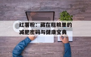 红薯粉：藏在粗粮里的减肥密码与健康宝典