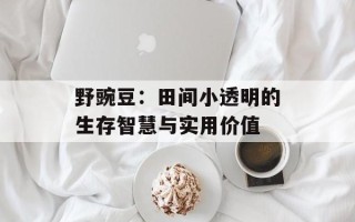 野豌豆：田间小透明的生存智慧与实用价值