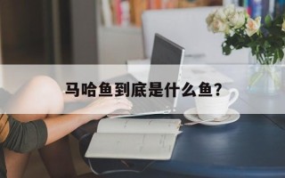 马哈鱼到底是什么鱼？