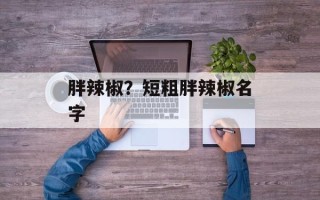 胖辣椒？短粗胖辣椒名字
