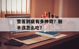 雪莲到底有多神奇？新手该怎么吃？