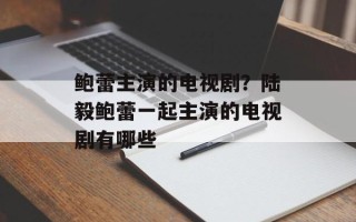 鲍蕾主演的电视剧？陆毅鲍蕾一起主演的电视剧有哪些