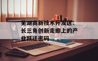 芜湖高新技术开发区：长三角创新走廊上的产业跃迁密码