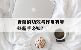 青菜的功效与作用有哪些新手必知？