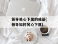 领导关心下属的成语(领导如何关心下属)