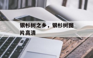 银杉树之乡，银杉树图片高清