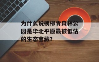 为什么说杨柳青森林公园是华北平原最被低估的生态宝藏？