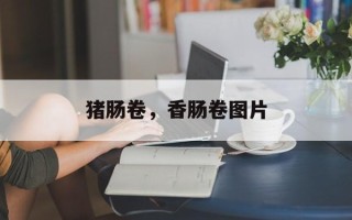 猪肠卷，香肠卷图片