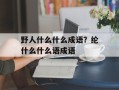 野人什么什么成语？纶什么什么语成语