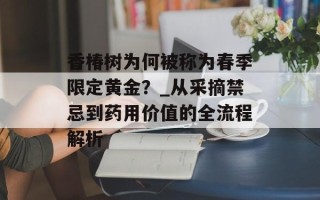 香椿树为何被称为春季限定黄金？_从采摘禁忌到药用价值的全流程解析