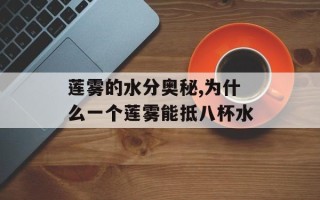 莲雾的水分奥秘,为什么一个莲雾能抵八杯水