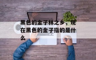 黑色的金子林之乡，现在黑色的金子指的是什么