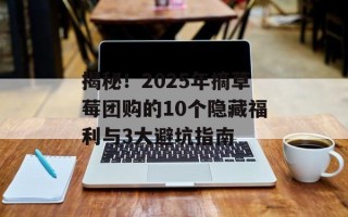 揭秘！2025年摘草莓团购的10个隐藏福利与3大避坑指南