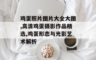 鸡蛋照片图片大全大图,高清鸡蛋摄影作品精选,鸡蛋形态与光影艺术解析