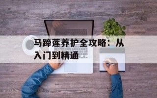 马蹄莲养护全攻略：从入门到精通