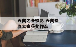 天鹅之乡摄影 天鹅摄影大赛获奖作品