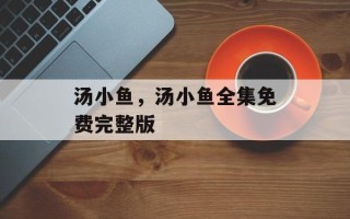 汤小鱼，汤小鱼全集免费完整版