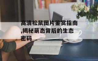 高清松鼠图片鉴赏指南,揭秘萌态背后的生态密码
