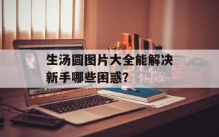 生汤圆图片大全能解决新手哪些困惑？