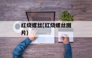 红烧螺丝(红烧螺丝图片)