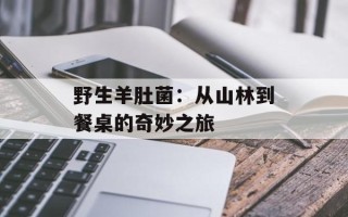 野生羊肚菌：从山林到餐桌的奇妙之旅
