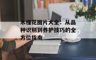 木槿花图片大全：从品种识别到养护技巧的全方位指南