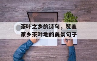 茶叶之乡的诗句，赞美家乡茶叶地的美景句子