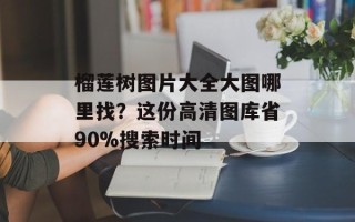 榴莲树图片大全大图哪里找？这份高清图库省90%搜索时间