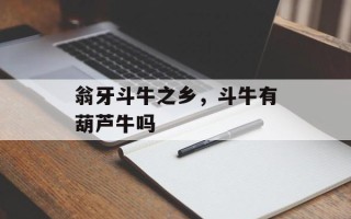 翁牙斗牛之乡，斗牛有葫芦牛吗