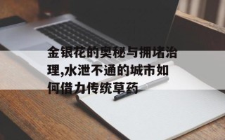 金银花的奥秘与拥堵治理,水泄不通的城市如何借力传统草药