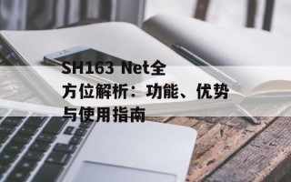 SH163 Net全方位解析：功能、优势与使用指南