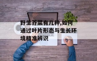 野生芥菜有几种,如何通过叶片形态与生长环境精准辨识