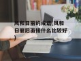 风和日丽的成语(风和日丽后面接什么比较好)
