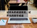 试开头的成语接龙，试开头的四字成语