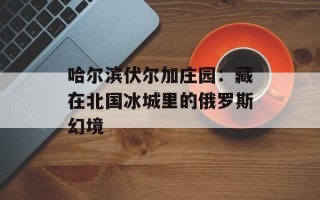 哈尔滨伏尔加庄园：藏在北国冰城里的俄罗斯幻境
