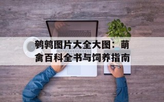 鹌鹑图片大全大图：萌禽百科全书与饲养指南