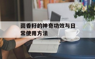 茴香籽的神奇功效与日常使用方法