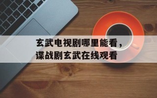 玄武电视剧哪里能看，谍战剧玄武在线观看