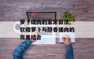 萝卜烧肉的家常做法,软糯萝卜与醇香猪肉的完美结合