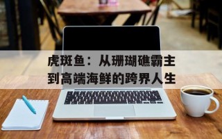 虎斑鱼：从珊瑚礁霸主到高端海鲜的跨界人生