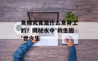 鱼鳔究竟是什么鱼身上的？揭秘水中'救生圈'世今生