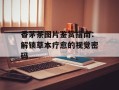 香茅茶图片鉴赏指南：解锁草本疗愈的视觉密码
