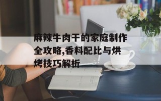 麻辣牛肉干的家庭制作全攻略,香料配比与烘烤技巧解析