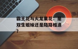 霸王花与火龙果花：是双生姐妹还是陌路相逢？
