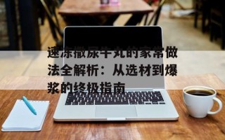 速冻撒尿牛丸的家常做法全解析：从选材到爆浆的终极指南