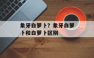 象牙白萝卜？象牙白萝卜和白萝卜区别